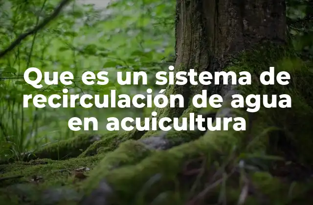Que es un Sistema de Recirculación de Agua en Acuicultura