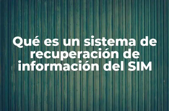 Qué es un Sistema de Recuperación de Información Del Sim