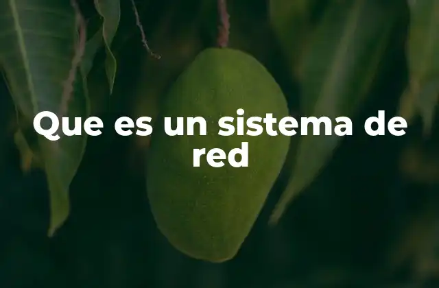 Que es un Sistema de Red