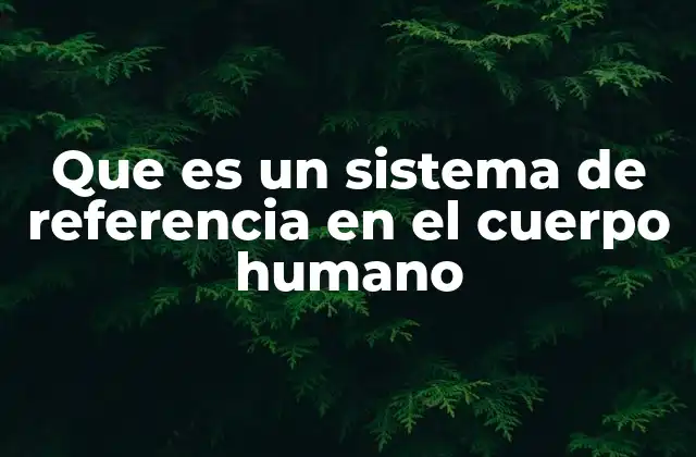 Que es un Sistema de Referencia en el Cuerpo Humano