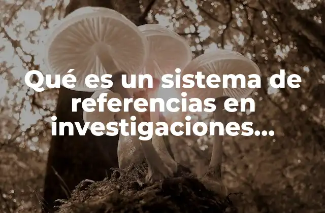 Qué es un Sistema de Referencias en Investigaciones Escolares