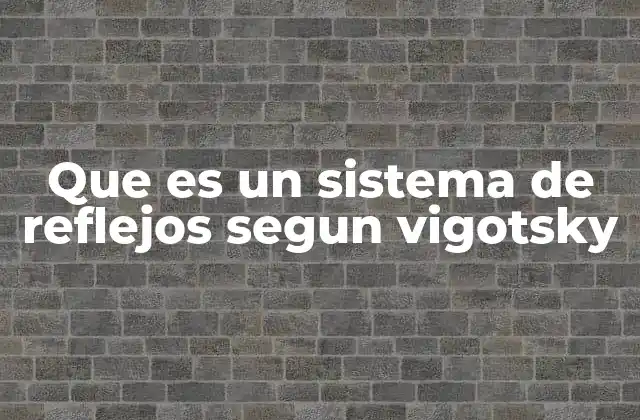 Que es un Sistema de Reflejos Segun Vigotsky