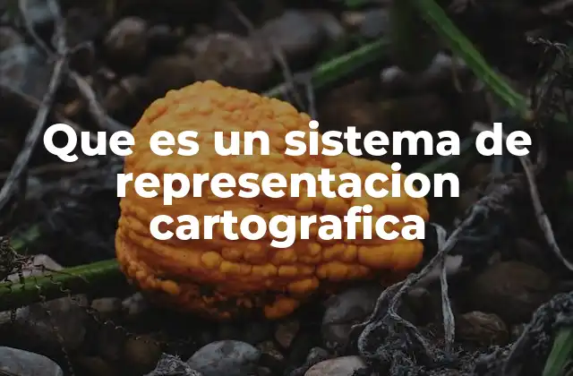 Que es un Sistema de Representacion Cartografica