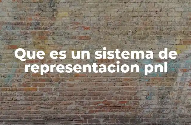 Que es un Sistema de Representacion Pnl