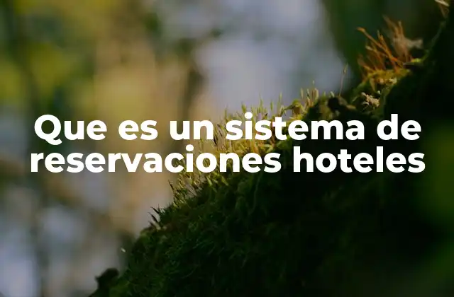 La importancia de un sistema de reservaciones en la gestión hotelera