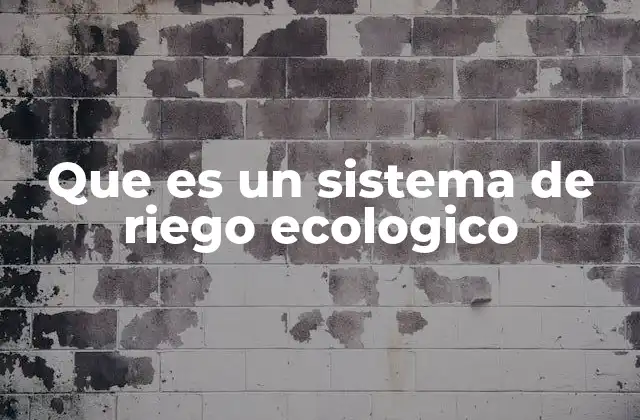 Que es un Sistema de Riego Ecologico
