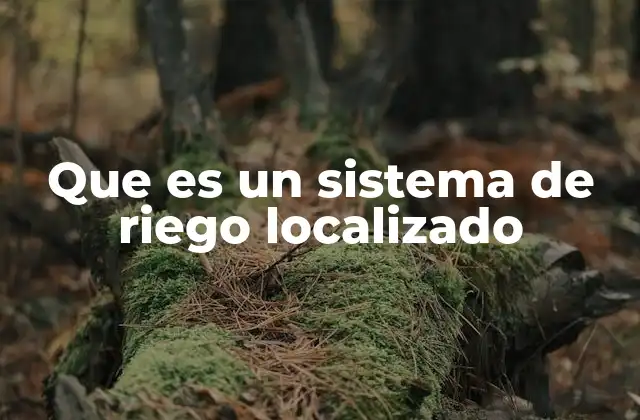 Que es un Sistema de Riego Localizado