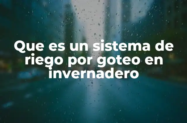 Que es un Sistema de Riego por Goteo en Invernadero