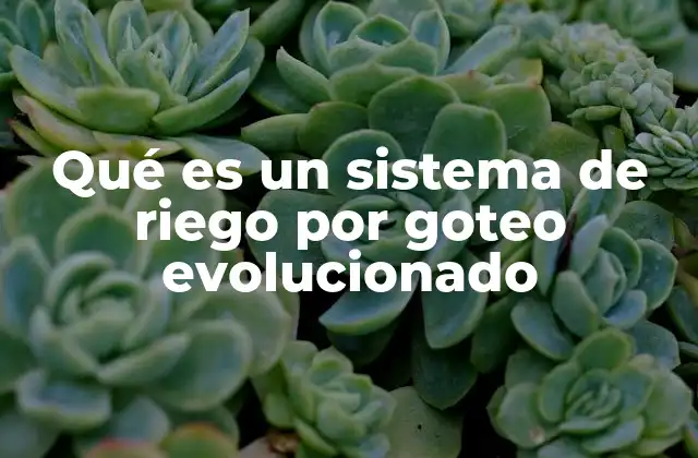 Qué es un Sistema de Riego por Goteo Evolucionado