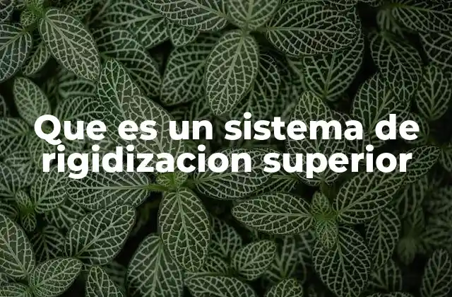 Que es un Sistema de Rigidizacion Superior