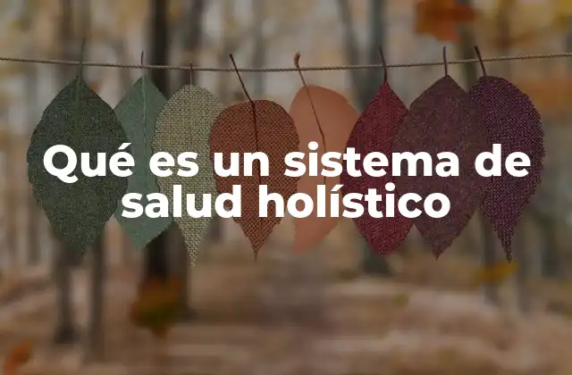 Qué es un Sistema de Salud Holístico