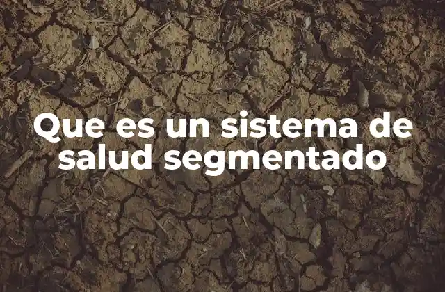 Que es un Sistema de Salud Segmentado