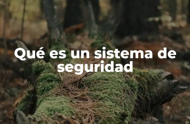 Qué es un Sistema de Seguridad