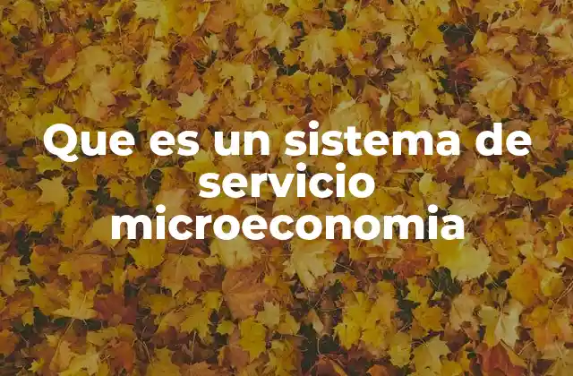 Que es un Sistema de Servicio Microeconomia