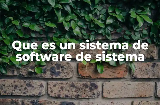 Que es un Sistema de Software de Sistema