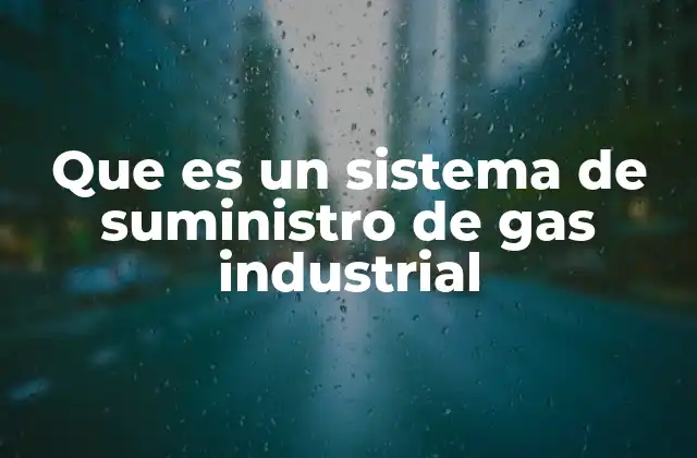 Que es un Sistema de Suministro de Gas Industrial