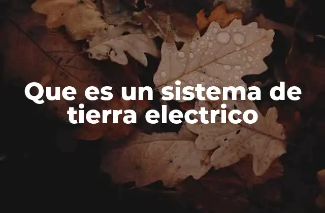 Que es un Sistema de Tierra Electrico