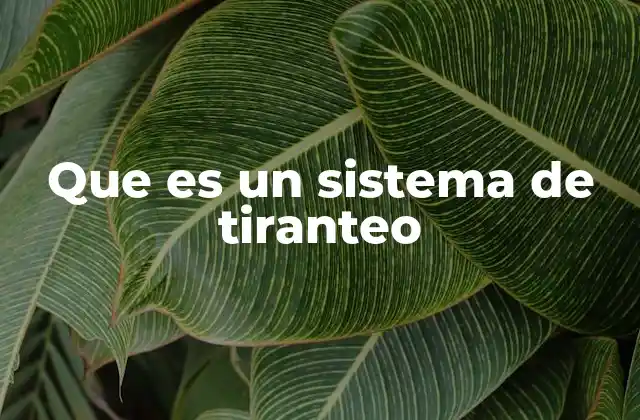 Que es un Sistema de Tiranteo