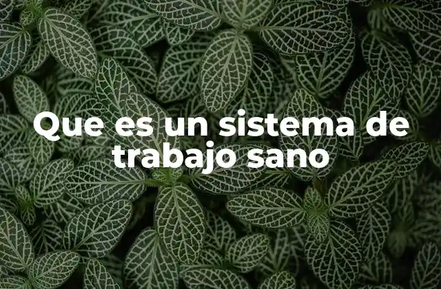 Que es un Sistema de Trabajo Sano