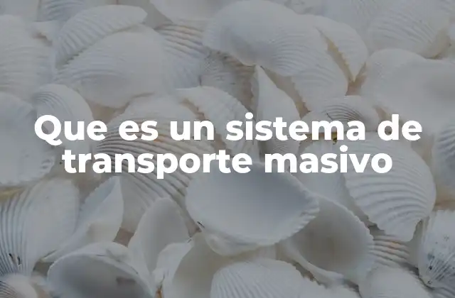 Que es un Sistema de Transporte Masivo