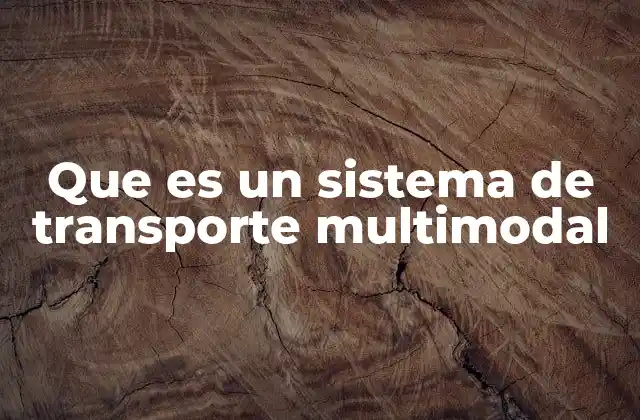 Que es un Sistema de Transporte Multimodal