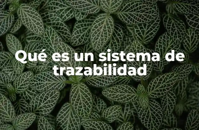 Qué es un Sistema de Trazabilidad