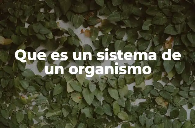 Que es un Sistema de un Organismo