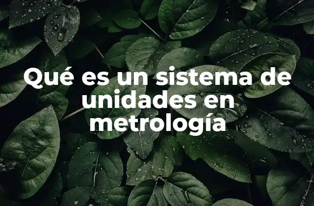 Qué es un Sistema de Unidades en Metrología