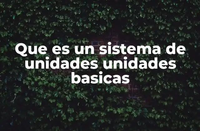 Que es un Sistema de Unidades Unidades Basicas