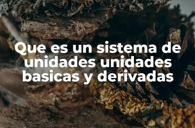 Que es un Sistema de Unidades Unidades Basicas y Derivadas