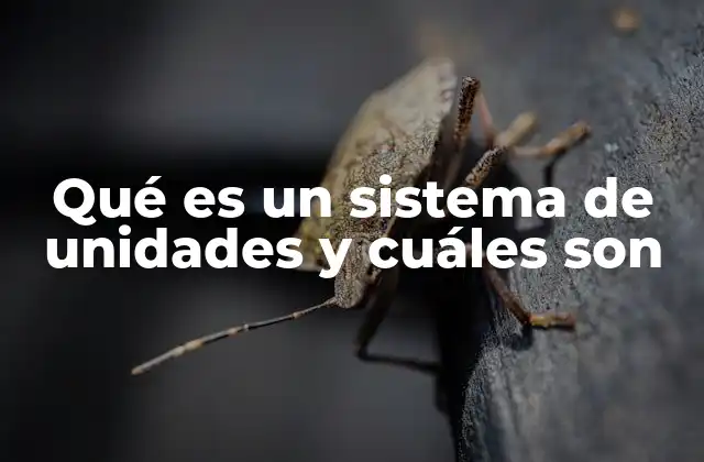 Qué es un Sistema de Unidades y Cuáles Son