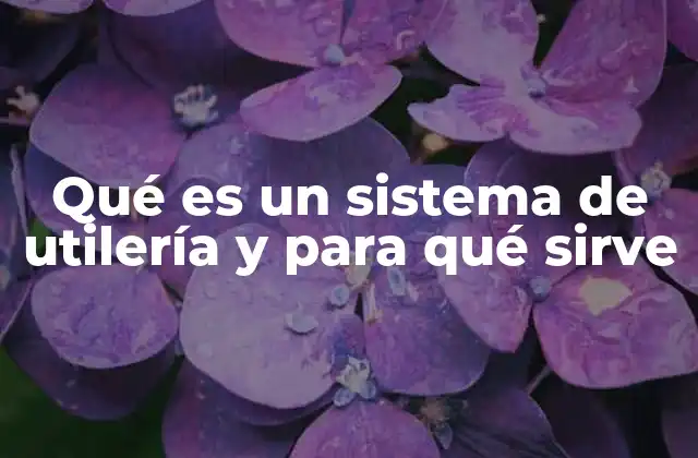 Qué es un Sistema de Utilería y para Qué Sirve