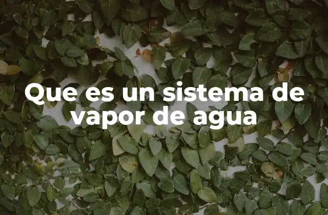 Que es un Sistema de Vapor de Agua