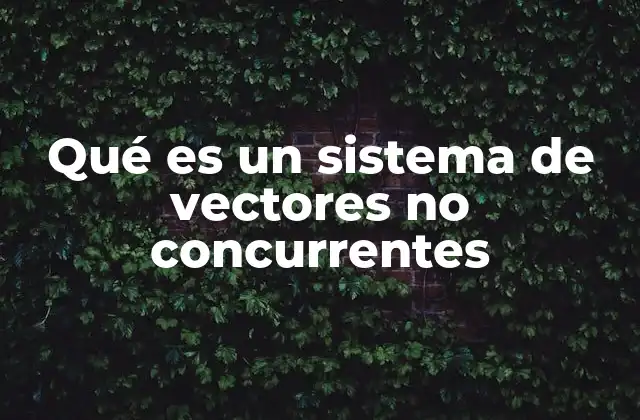 Qué es un Sistema de Vectores No Concurrentes