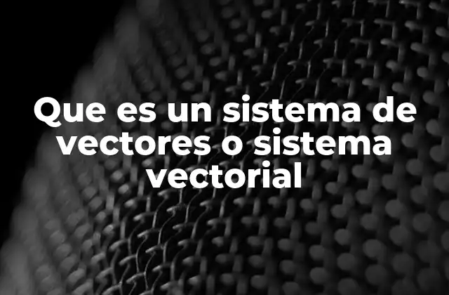 Que es un Sistema de Vectores o Sistema Vectorial