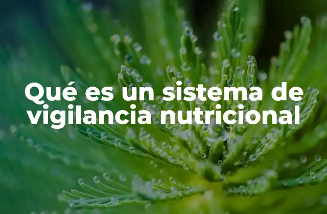 Qué es un Sistema de Vigilancia Nutricional