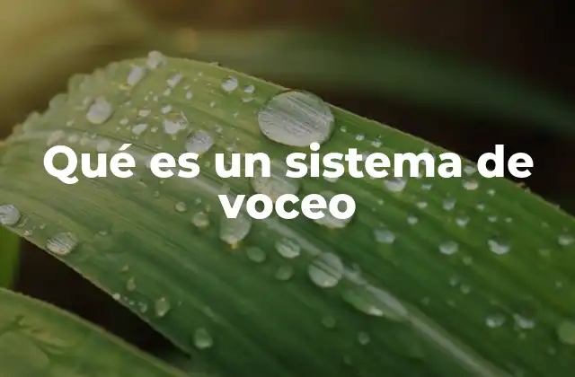 Qué es un Sistema de Voceo