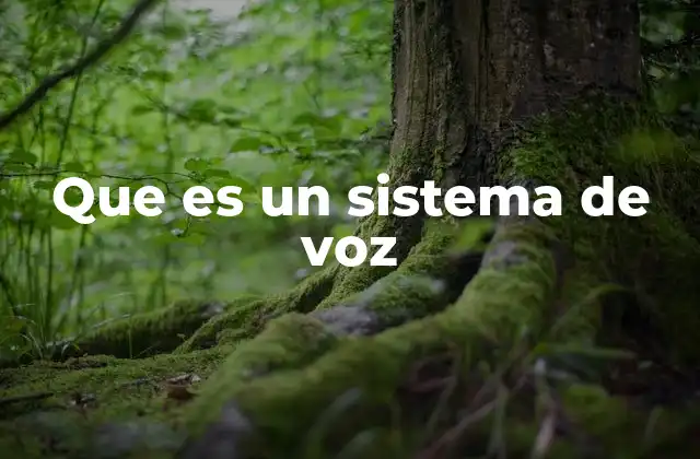 Que es un Sistema de Voz