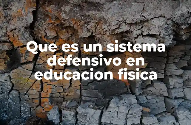 Que es un Sistema Defensivo en Educacion Fisica