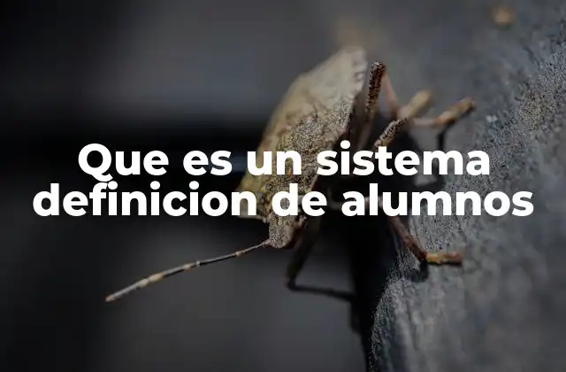 Que es un Sistema Definicion de Alumnos