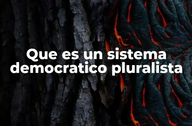 Que es un Sistema Democratico Pluralista