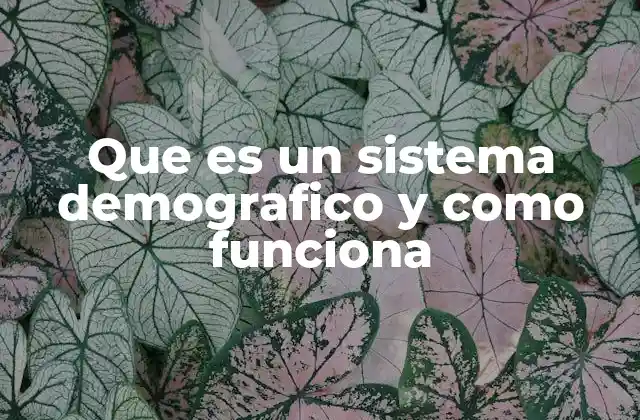 Que es un Sistema Demografico y como Funciona