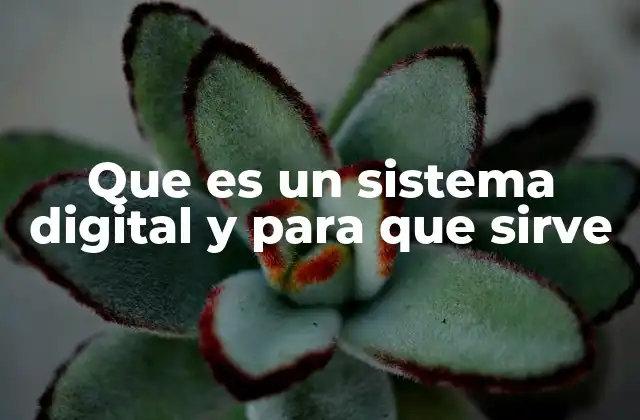 Que es un Sistema Digital y para que Sirve
