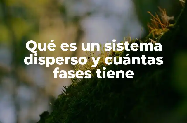 Qué es un Sistema Disperso y Cuántas Fases Tiene