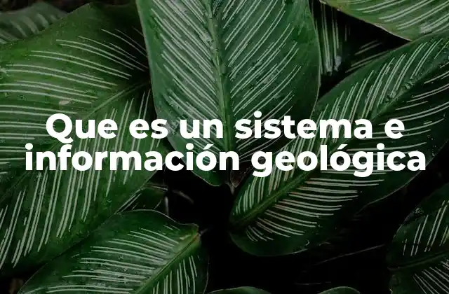 Que es un Sistema e Información Geológica
