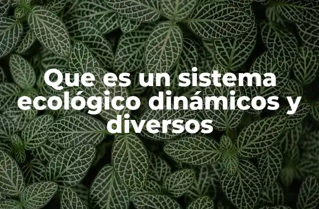 Que es un Sistema Ecológico Dinámicos y Diversos