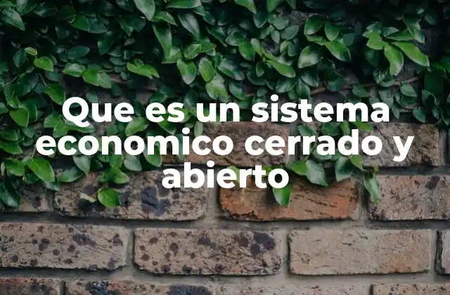 Que es un Sistema Economico Cerrado y Abierto