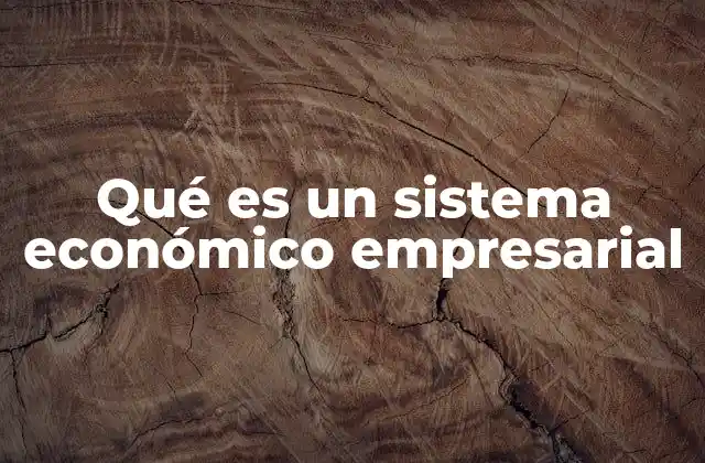 Qué es un Sistema Económico Empresarial