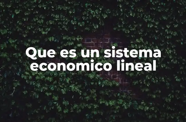 Que es un Sistema Economico Lineal