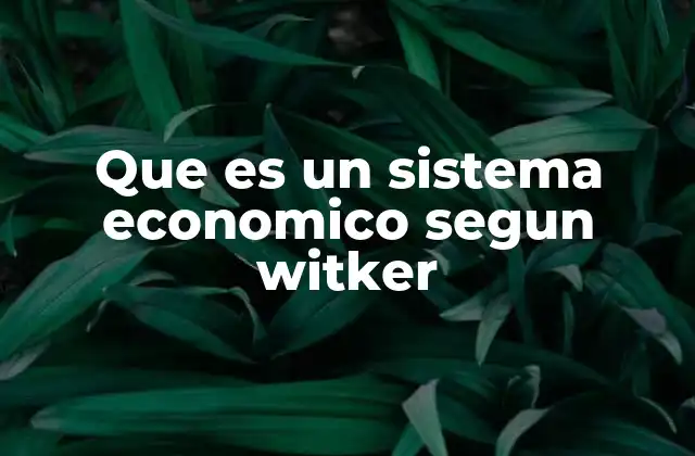 Que es un Sistema Economico Segun Witker